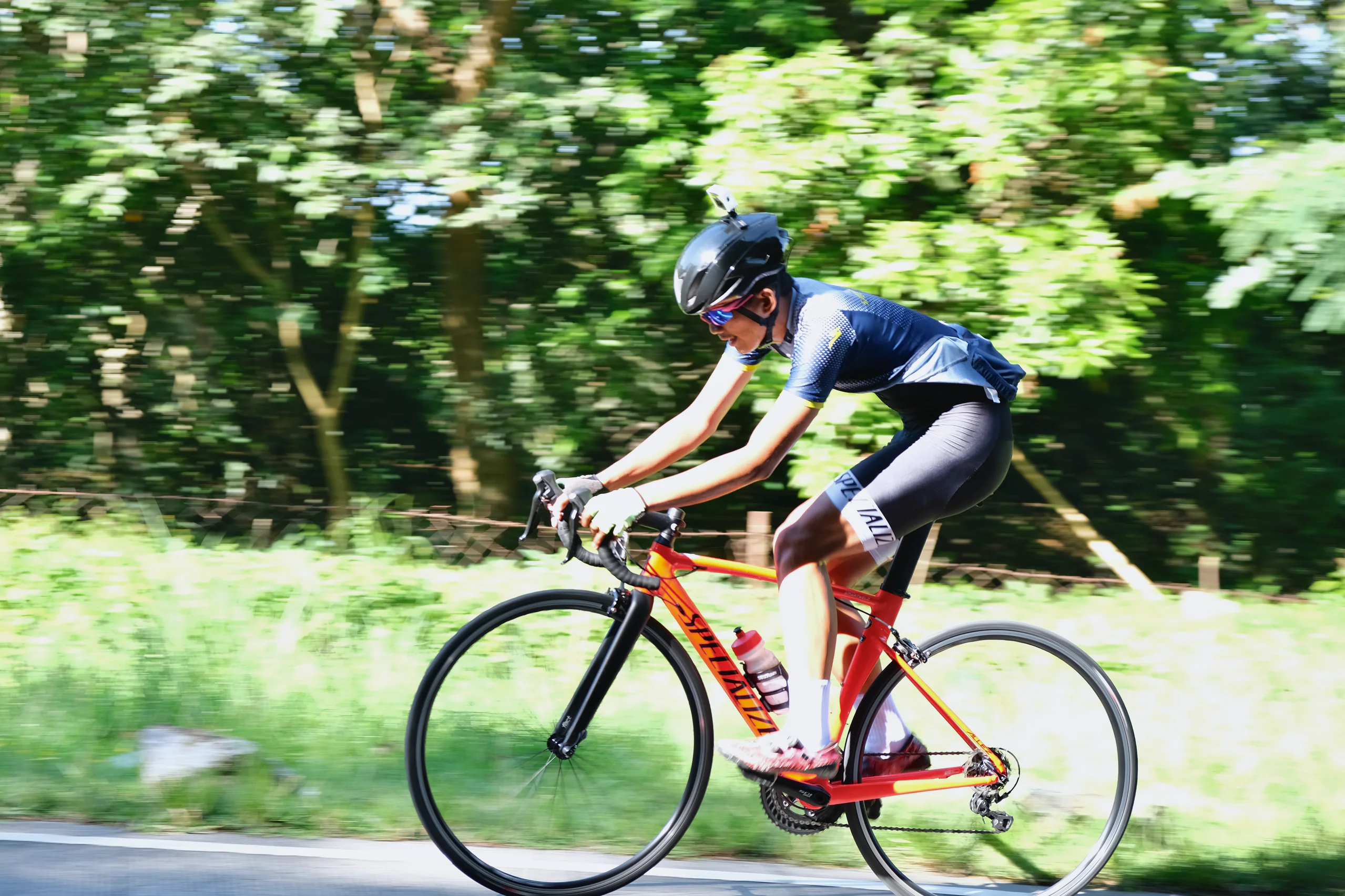 A cyclist wearing a black helmet and blue jersey rides an orange road bicycle along a sunlit road. The cyclist remains relatively sharp while the green trees behind him streak horizontally from the photographer’s panning motion.
