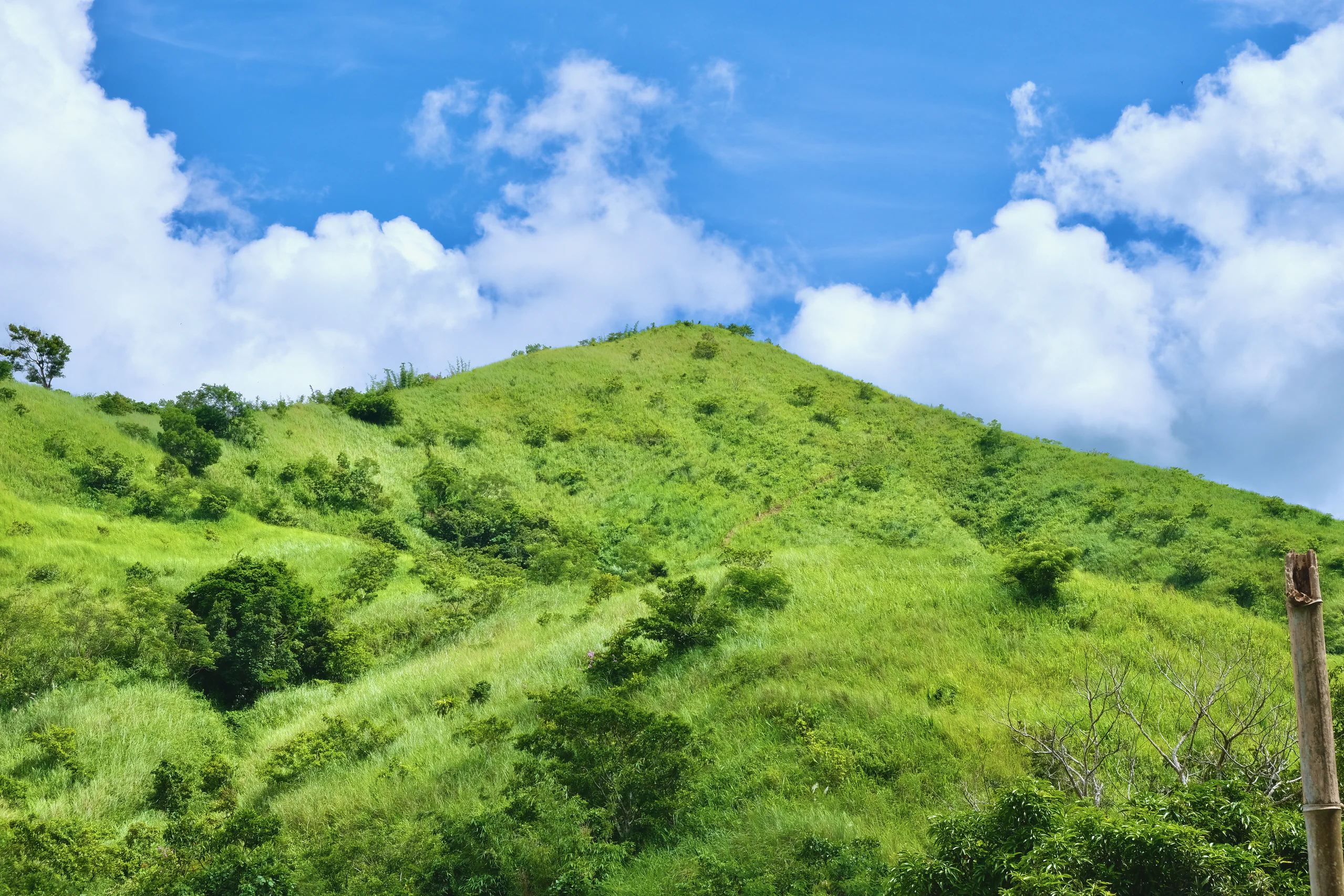 A bright green, grassy hillside dotted with small trees and shrubs rises beneath a vivid blue sky filled with large white clouds. A weathered wooden post stands at the right edge of the photograph.