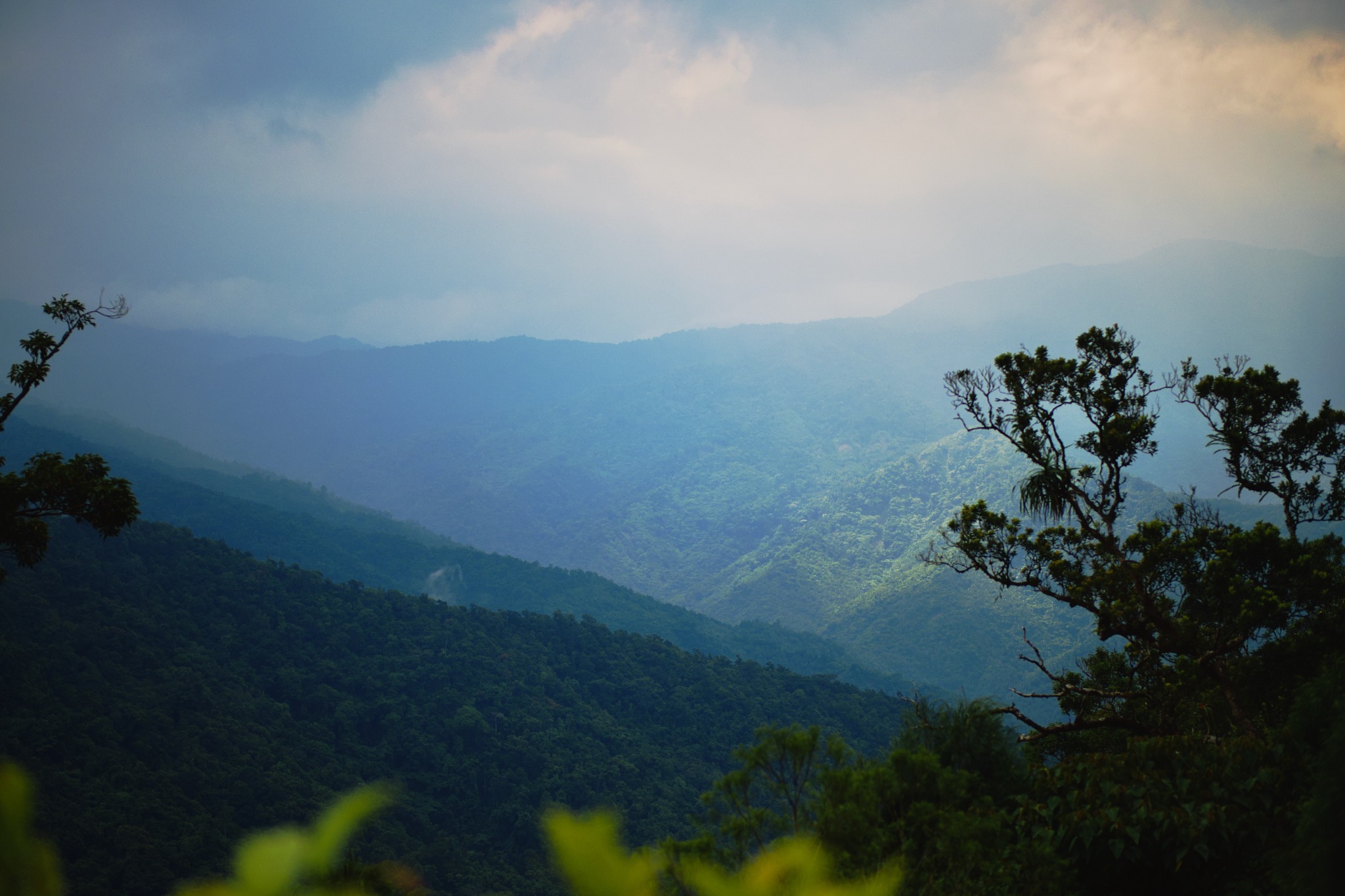 Light in the Valley