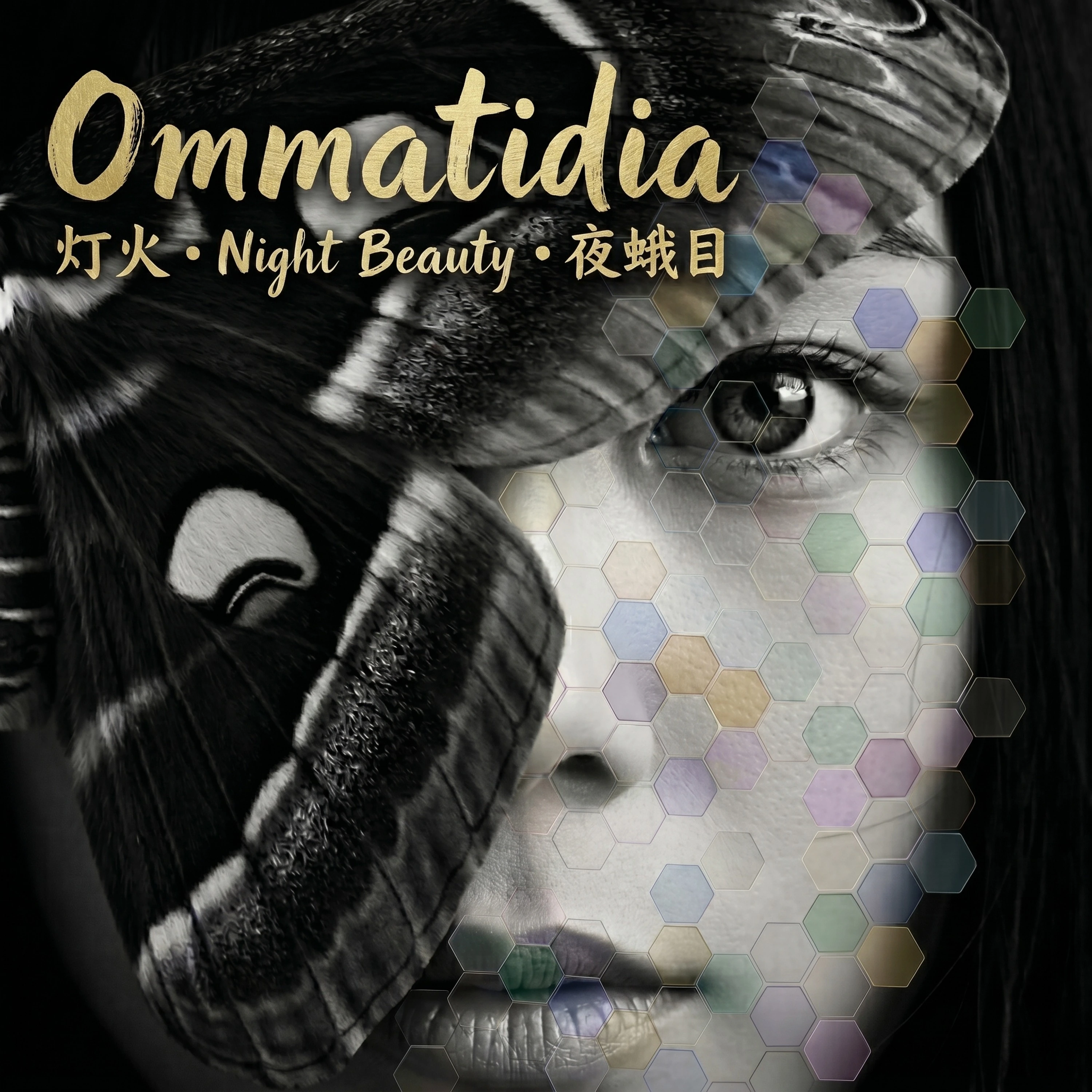 Ommatidia cover art