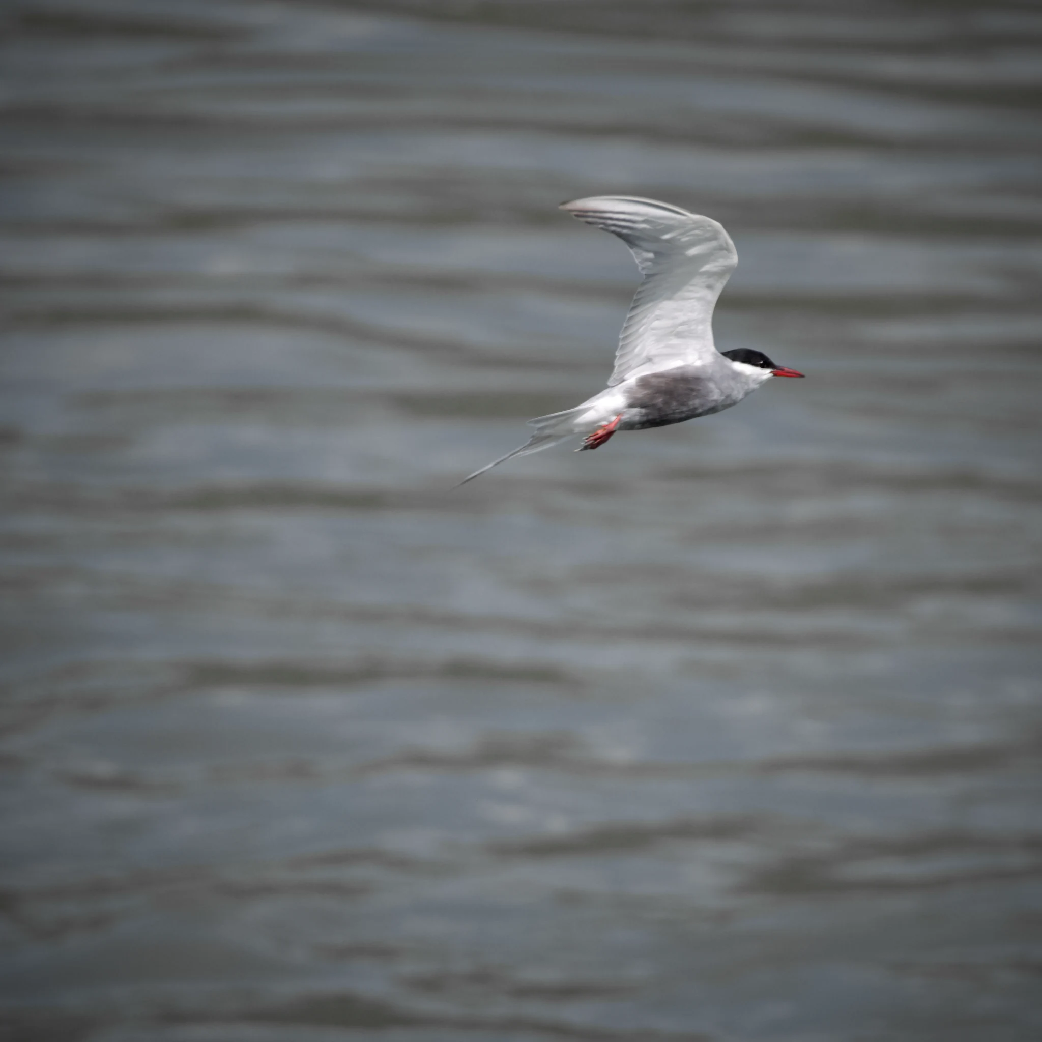 Skimming