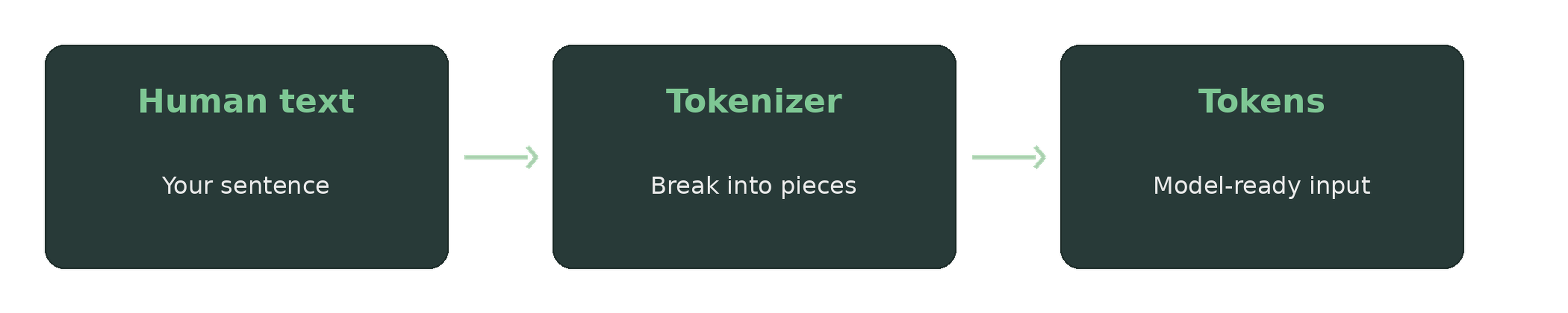 Human text → Tokenizer → Tokens → Model Tokenization itself is not intelligence. It is more like preparing material for the model to work with.